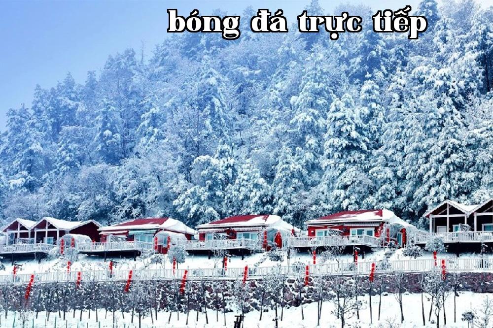 Nhà trọ | Cloud Top Homestay của Zengjia Mountain